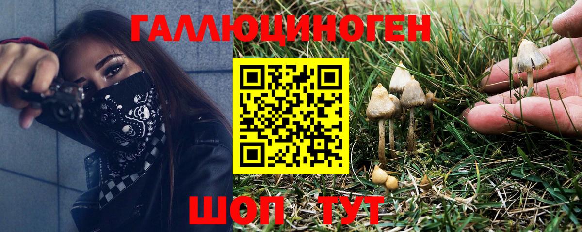 Галлюциногенные грибы мицелий Чебаркуль